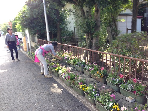 町内ガーデニング（秋の部）(浦安市補助金申請事業第６回）_e0246551_15155928.jpg