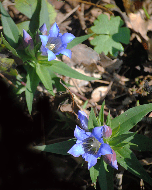 a0001354_015445.gif