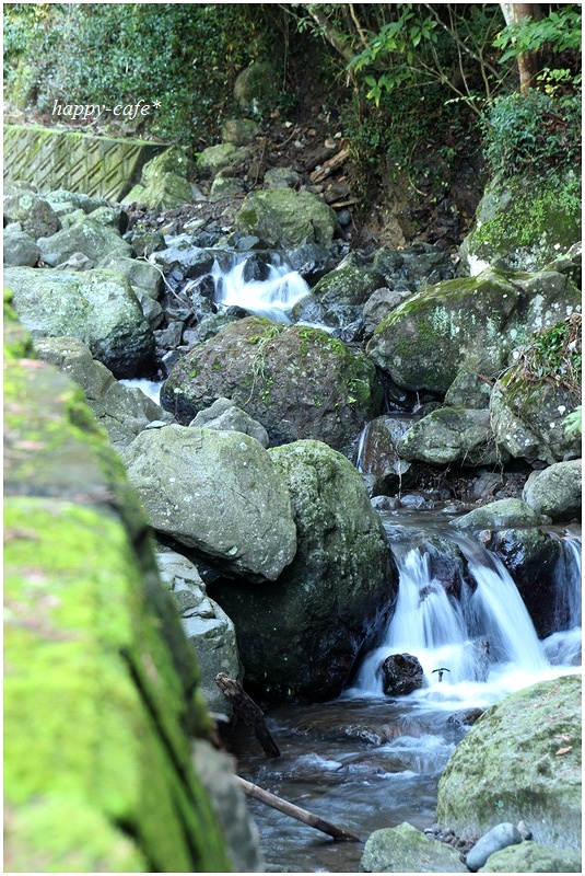 秋の山散歩♪_a0167759_2283721.jpg