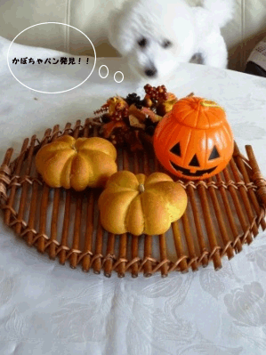 e0141159_1414798.gif