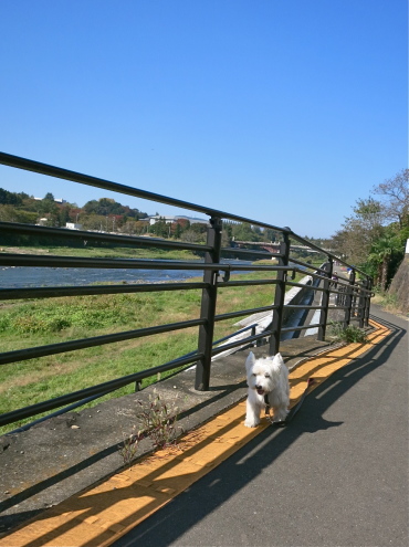 7.5キロは重過ぎっ。。。_c0260460_13385303.jpg