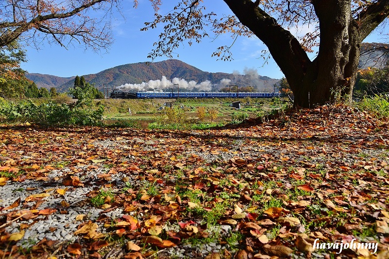 c0173762_2085454.jpg