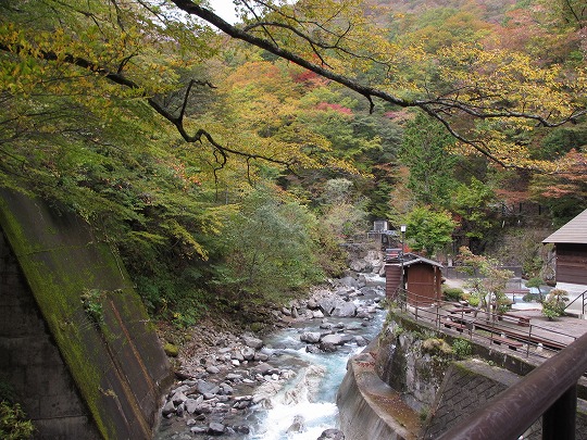 b0145863_23565080.jpg