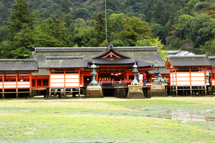 安芸の宮島　厳島神社大鳥居を通り抜け_b0232463_1935534.jpg