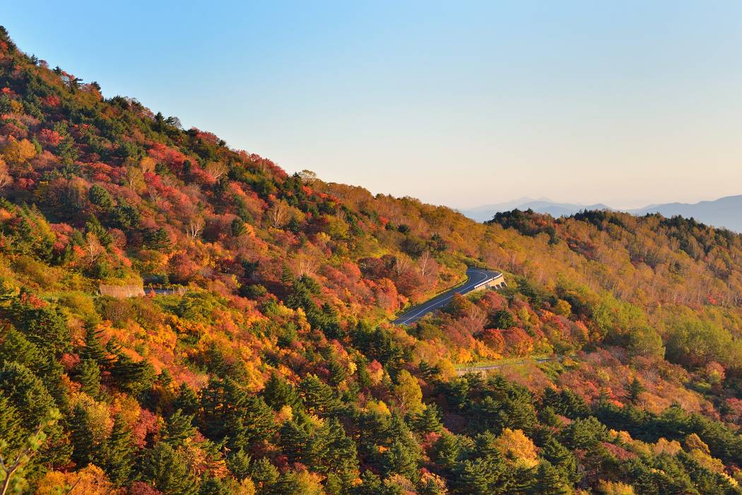 　　　　　紅葉スカイライン（福島県）10/８日撮影_b0223668_7572595.jpg