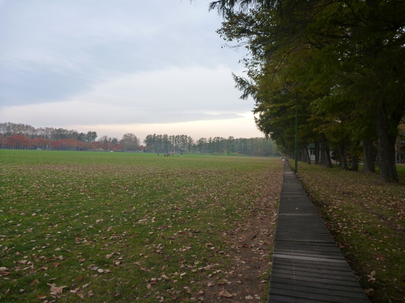 たまたま　お弁当を食べた公園が!!_a0249370_23482701.jpg