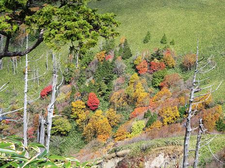 南沢山・横川山　　のんびり紅葉ハイク_f0302771_1384441.jpg