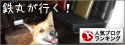 b0246876_2394728.png