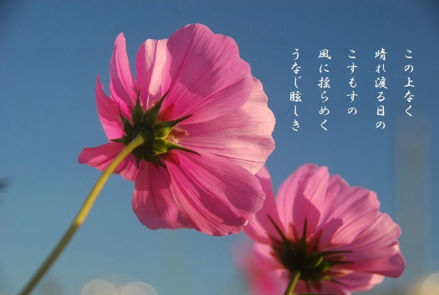 c0187781_00213061.jpg