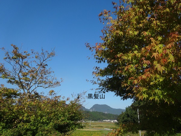 なかなか乾かない_d0195183_13583.jpg