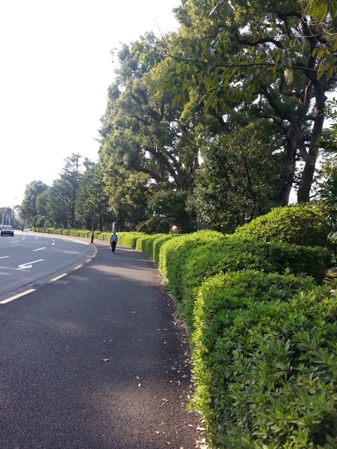 c0096685_20250764.jpg