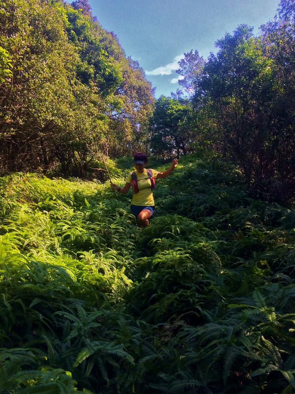 南伊勢 Mountain Running & Body Surfin\' Trip Day.1-2 2014/10/07-08_b0220886_1663933.jpg