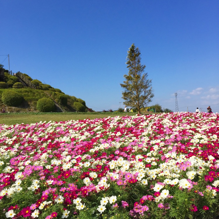 淡路島・鳴門ドライブ旅行_f0106487_10161217.jpg