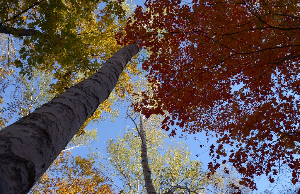 c0240388_21335147.jpg