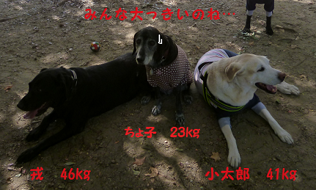 d0282395_22132558.png