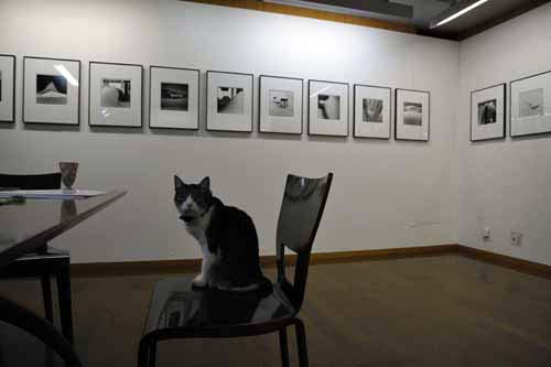 写真展「ＳＮＯＷＹⅡ・the frosty hour」から_f0173596_9231921.jpg