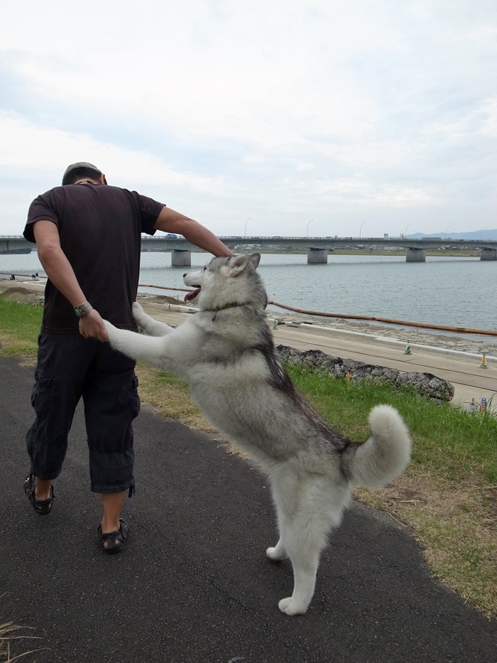 あっ！と驚こう　平凡な日常　（≧∇≦）_c0049299_2132176.jpg