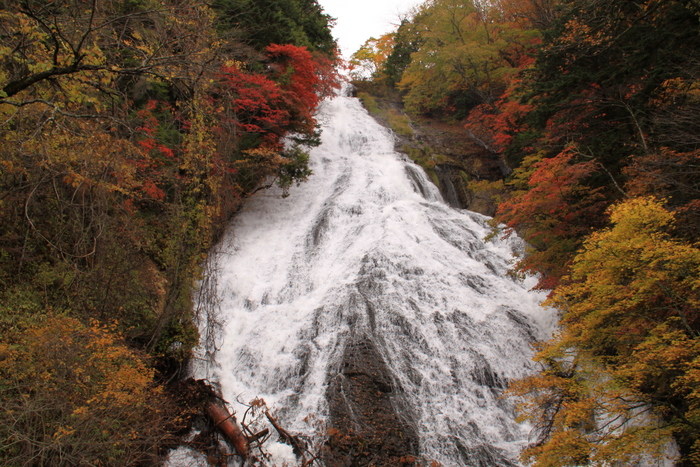 d0248502_14463529.jpg