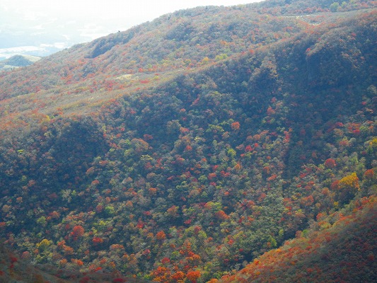 f0187402_93246.jpg