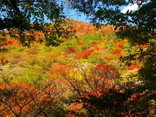 f0187402_9343754.jpg