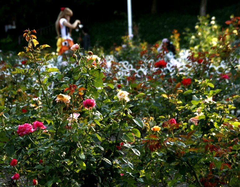 d0140806_8204517.jpg
