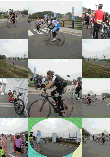 f0231709_22291667.gif