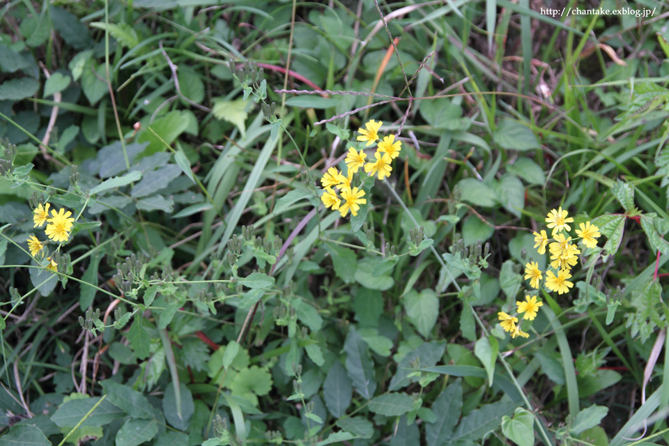 c0189013_23323543.jpg
