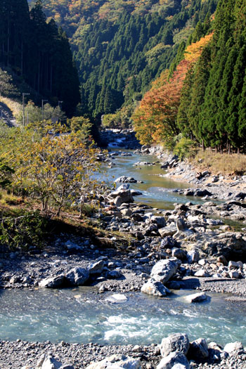 安曇川上流の葛川 _e0048413_20354345.jpg