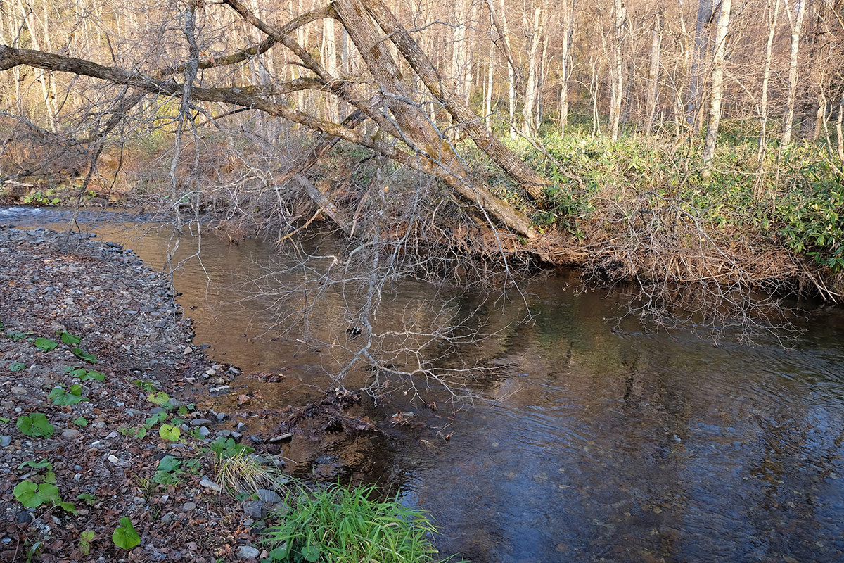 b0189415_20355371.jpg