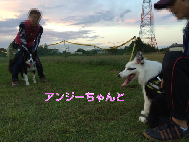 a0232619_20242529.png