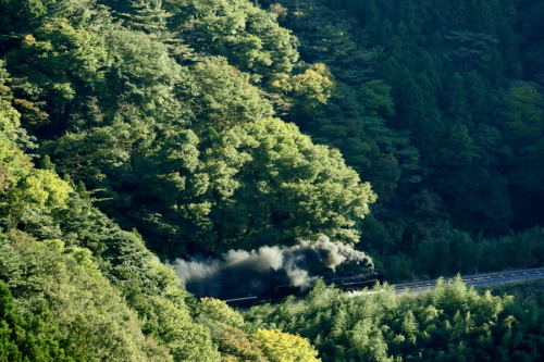f0333821_00303361.jpg