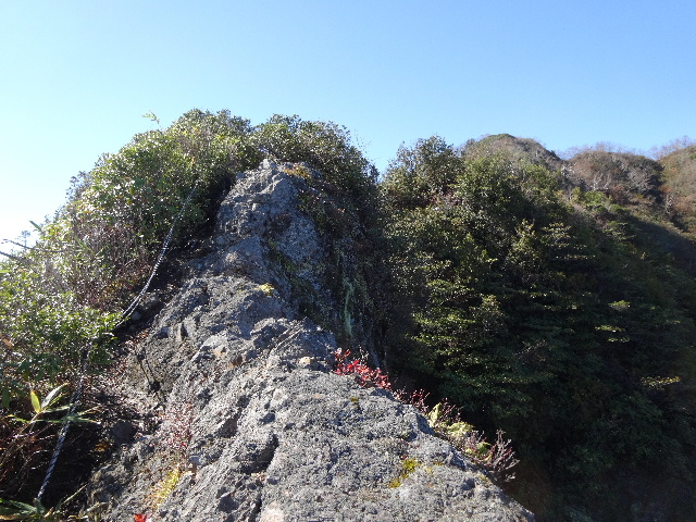 c0141223_22241750.jpg