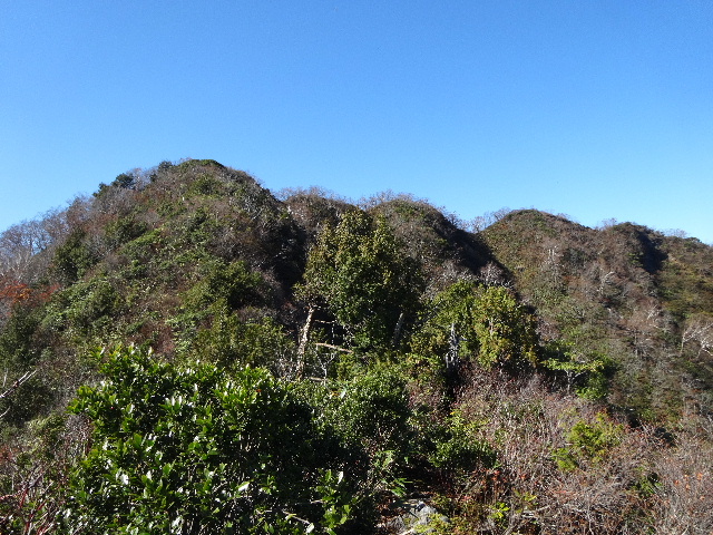c0141223_22245244.jpg