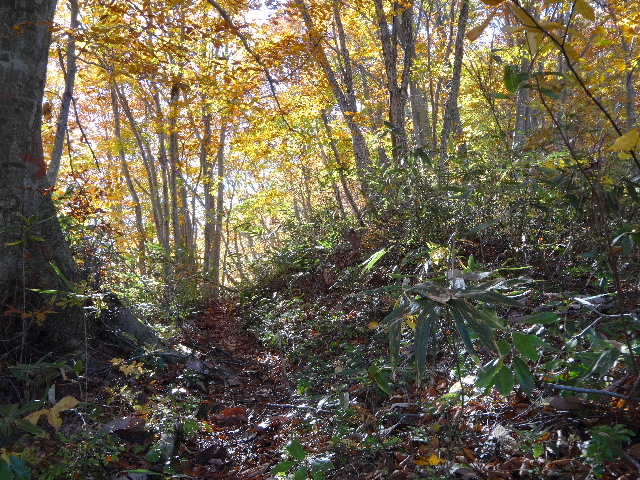 c0141223_2293214.jpg