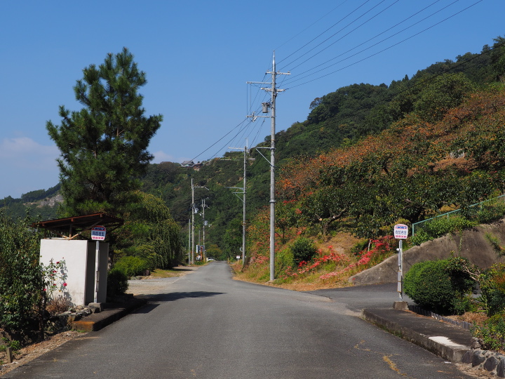 b0244424_1383269.jpg