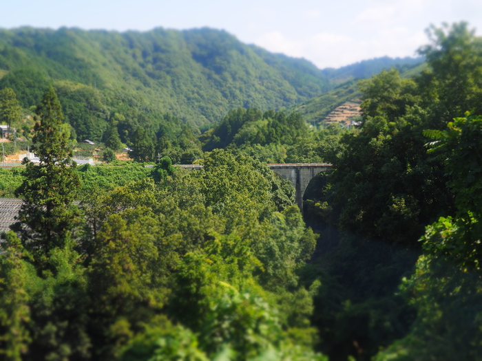 b0244424_1652492.jpg