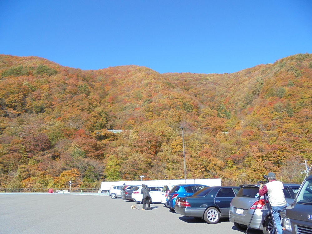 大安日に撮り鉄_c0111229_17431984.jpg