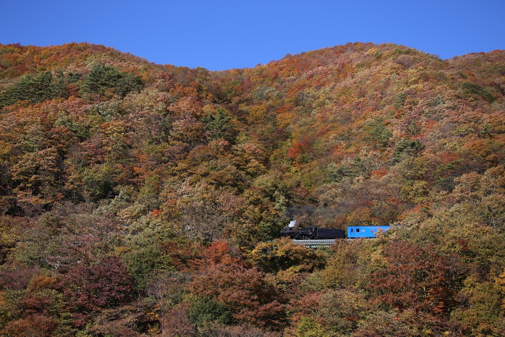 大安日に撮り鉄_c0111229_1744829.jpg
