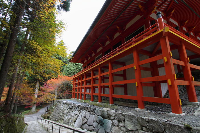 紅葉の比叡山 －延暦寺・横川（横川中堂・前編）－_b0169330_14312961.jpg