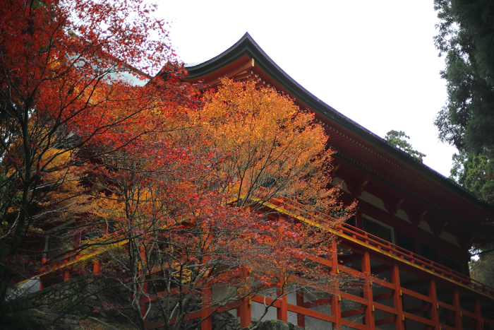 紅葉の比叡山 －延暦寺・横川（横川中堂・前編）－_b0169330_15332346.jpg