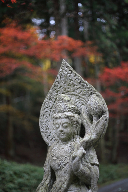 紅葉の比叡山 －延暦寺・横川（横川中堂・前編）－_b0169330_15334533.jpg