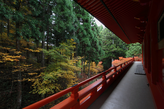 紅葉の比叡山 －延暦寺・横川（横川中堂・前編）－_b0169330_15344133.jpg