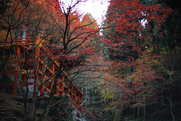 紅葉の比叡山 －延暦寺・横川（横川中堂・前編）－_b0169330_1534538.jpg