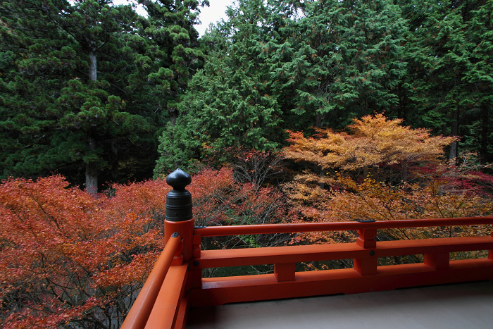紅葉の比叡山 －延暦寺・横川（横川中堂・前編）－_b0169330_15553085.jpg