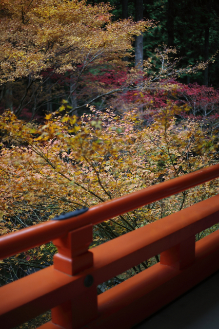 紅葉の比叡山 －延暦寺・横川（横川中堂・前編）－_b0169330_15555399.jpg
