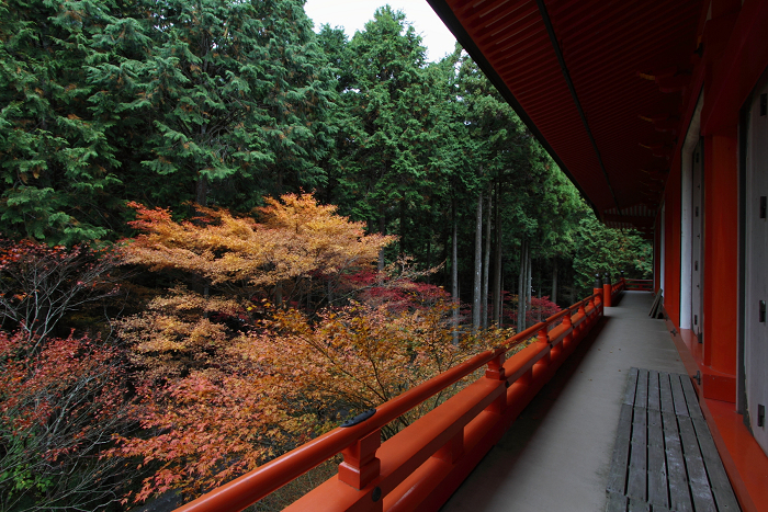 紅葉の比叡山 －延暦寺・横川（横川中堂・前編）－_b0169330_1555996.jpg