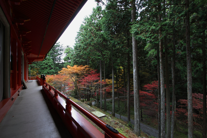紅葉の比叡山 －延暦寺・横川（横川中堂・前編）－_b0169330_1556108.jpg