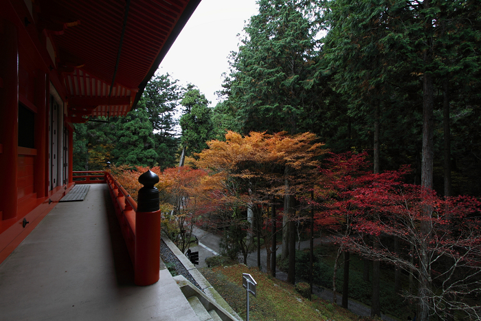 紅葉の比叡山 －延暦寺・横川（横川中堂・前編）－_b0169330_1556392.jpg