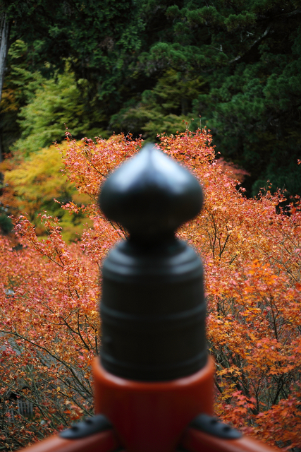 紅葉の比叡山 －延暦寺・横川（横川中堂・前編）－_b0169330_1556535.jpg