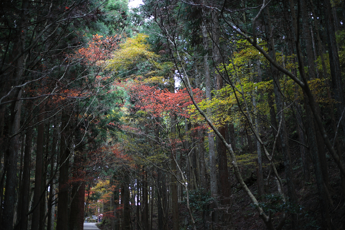 紅葉の比叡山 －延暦寺・横川（恵心堂）－_b0169330_17235415.jpg